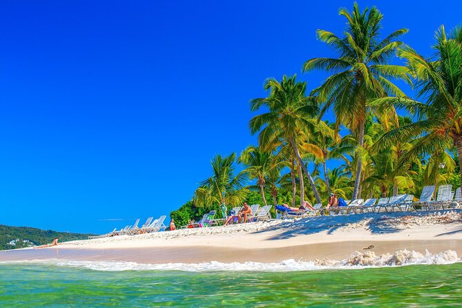Los Haitises Park & Cayo Levantado: Samaná unforgettable Journey - Where Los Haitises Park fits into your day