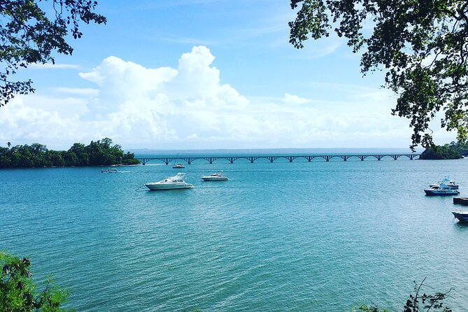 Los Haitises Park & Cayo Levantado: Samaná unforgettable Journey - Price and value: is $178.95 fair for a full-day Samana outing?