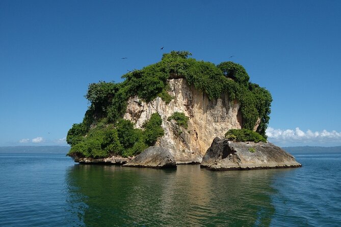 Los Haitises Park & Cayo Levantado: Samaná unforgettable Journey - The guide factor: why Ricardo and Amaurys get noticed
