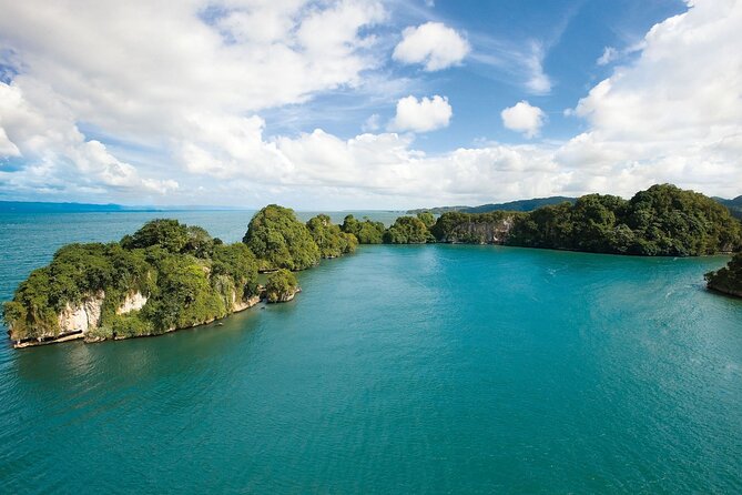 Los Haitises Park & Cayo Levantado: Samaná unforgettable Journey - Samana Bay whale watching: what the boat ride really means