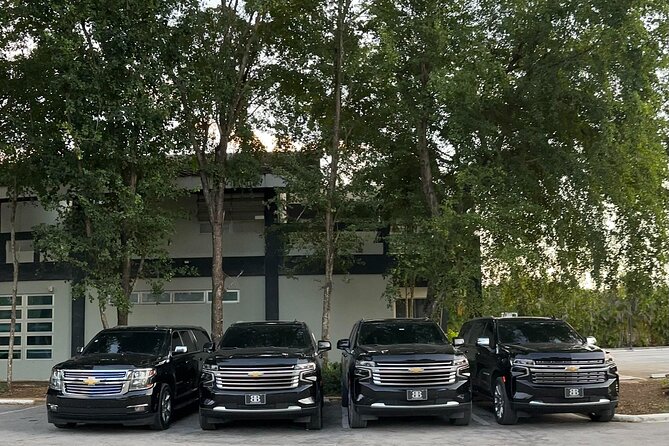 Luxe Black Car Transfer – Cap Cana, Bavaro & Punta Cana Airport - The Timing Reality: Smooth Ride, Possible Wait After Customs