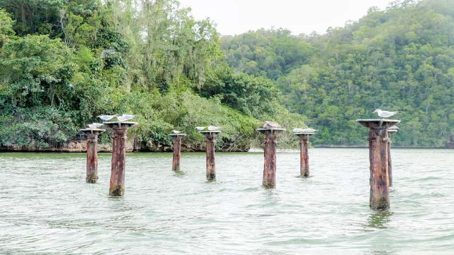 Mangroves, Mogotes and Mountains from Punta Cana - Key things I’d zero in on