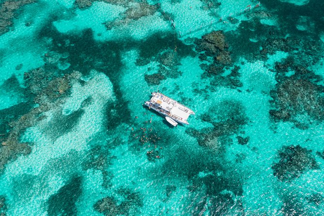 Marinarium Snorkeling Cruise from Punta Cana - Price and Logistics: Is $115 Worth It for Your Day?