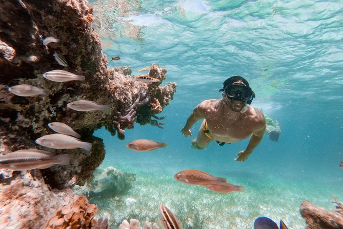 Marinarium Snorkeling Cruise from Punta Cana - On the Cabeza de Toro Coast: The Sightseeing Cruise That Fills the Half Day
