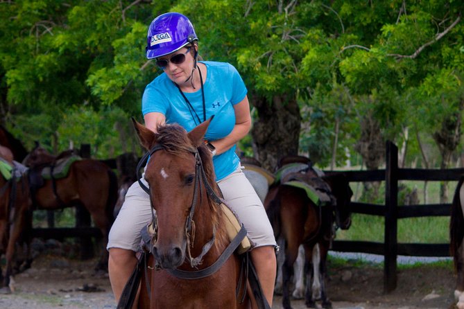 Mega Zip and Ride in Dominican Countryside - Western-style horseback ride: trained horses, rolling hills, and stream views