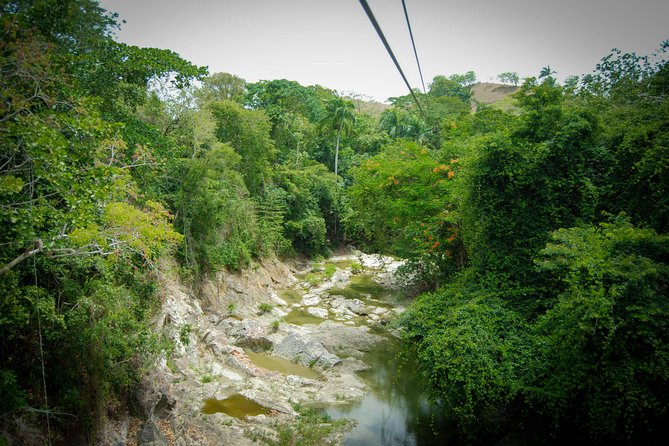 Mega Zip and Ride in Dominican Countryside - Price and value: is $91 a fair deal?