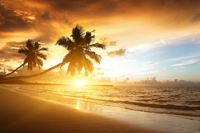 Meliá Caribe Beach - Round Trip Shuttle - Punta Cana Airport - What’s included (and what you’ll handle yourself)