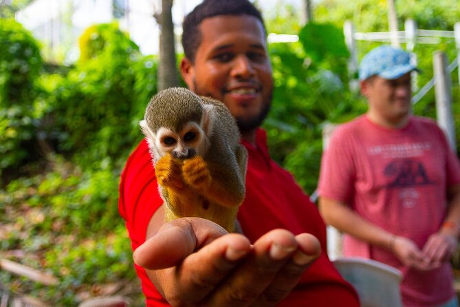Monkey Enconter & Zip line Adventure - Key Points You’ll Want to Know