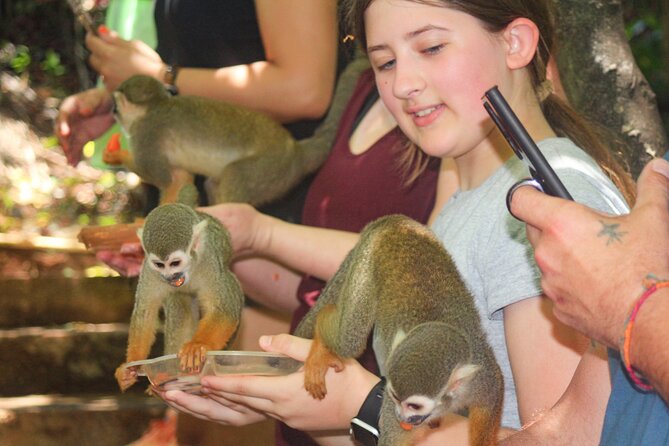Monkey Enconter & Zip line Adventure - Pickup and Drop-Off: Included, But Know the Boundary