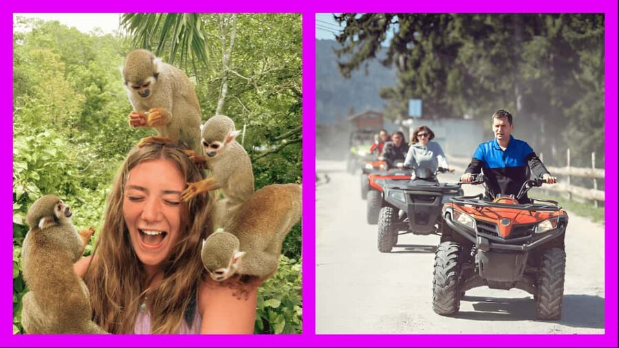 Monkey Encounter + ATV Riding Adventure – Puerto Plata - Key things I’d zero in on before booking