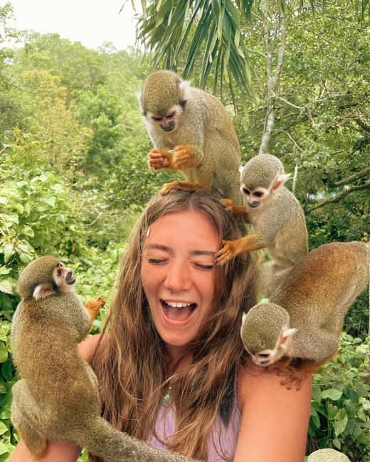 Monkey Encounter + ATV Riding Adventure – Puerto Plata - Coffee and cacao: a short culture stop you’ll actually use