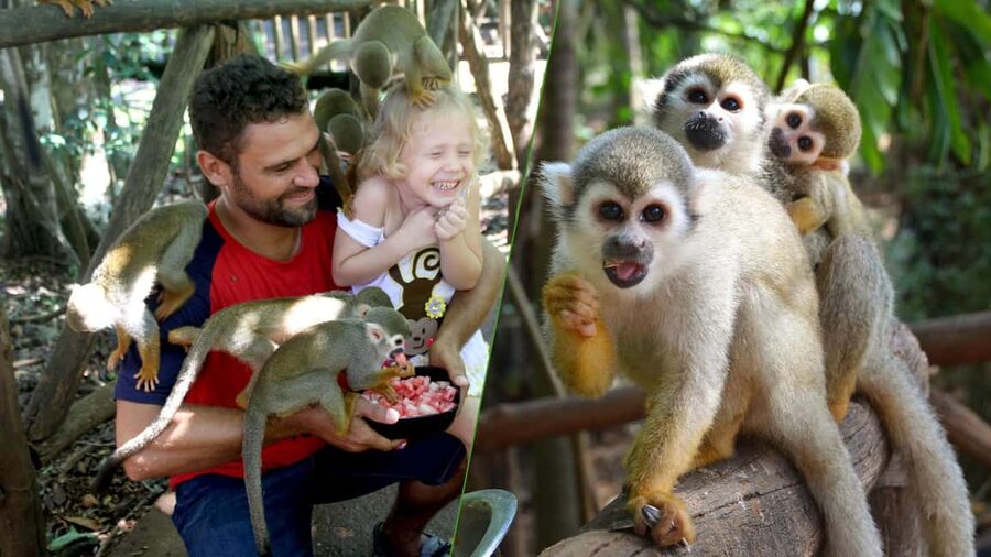 Monkey Encounter + ATV Riding Adventure – Puerto Plata - What to wear and expect when you get dirty