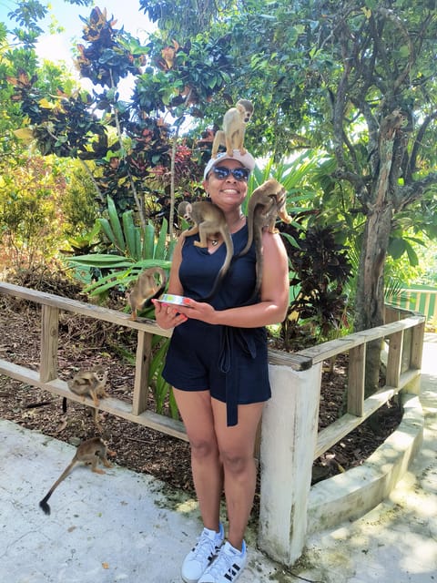 Monkey Encounter + ATV Riding Adventure – Puerto Plata - Should you book this Puerto Plata monkey and ATV adventure?
