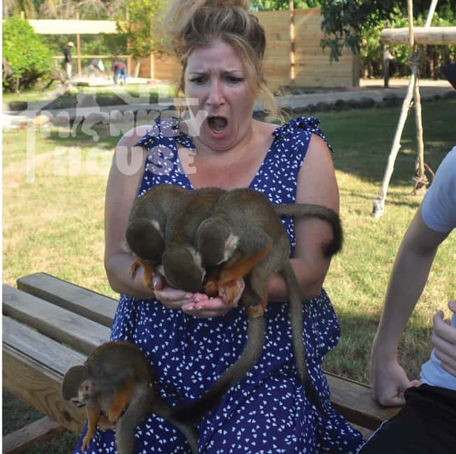 Monkey House VIP – An exclusive experience in Punta Cana - Monkey House VIP, explained in plain terms