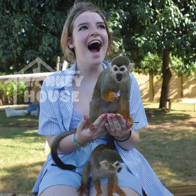 Monkey House VIP – An exclusive experience in Punta Cana - What VIP admission actually includes