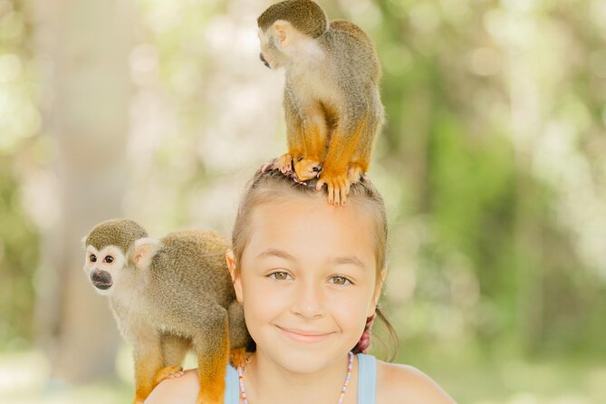 Monkey House VIP Experience with 4 species of monkeys, Punta Cana - Monkey House VIP in Punta Cana: What You’re Actually Buying