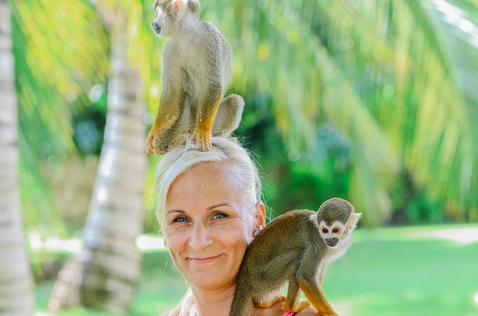 Monkey House VIP Experience with 4 species of monkeys, Punta Cana - Parrots, Rescues, and the Extra Details You May Hear