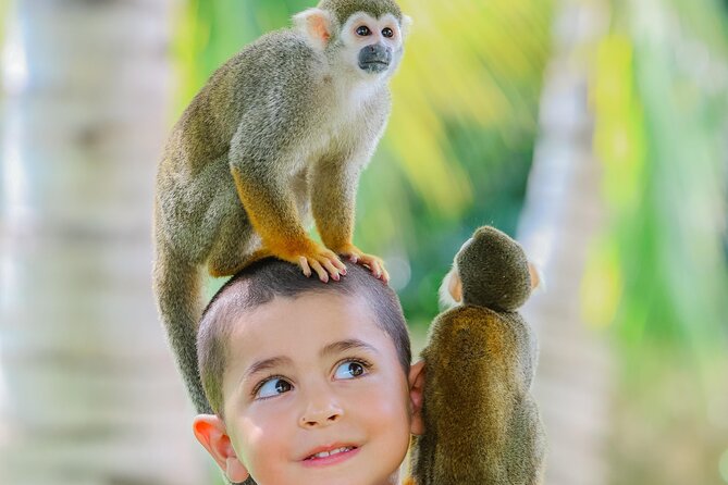 Monkey House VIP Experience with 4 species of monkeys, Punta Cana - Professional Photos and Video: The Price Shock Point