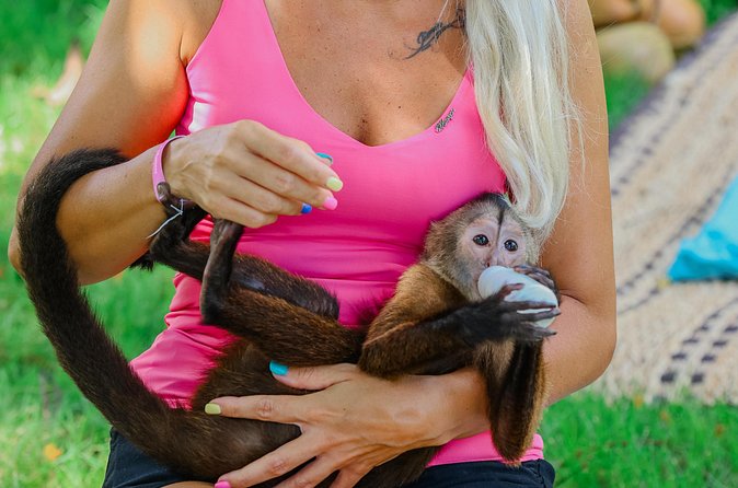Monkey House VIP Experience with 4 species of monkeys, Punta Cana - Pickup, Timing, and How to Avoid Getting Lost