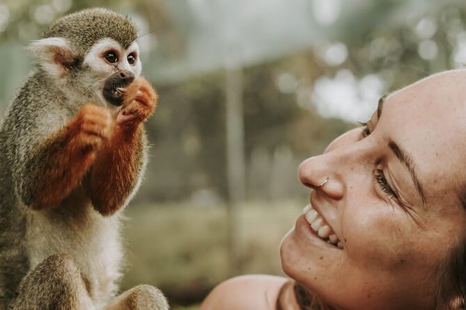 Monkey Jungle with Zip line - Key highlights at a glance