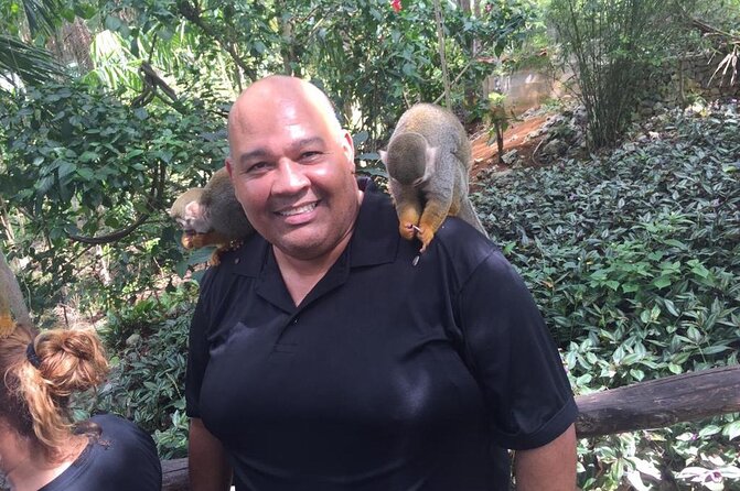 Monkey Jungle with Zip line - Price and value: is $125 fair for this half-day?