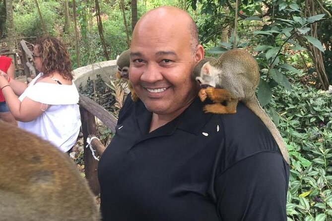 Monkey Jungle with Zip line - Getting the most out of the day: practical prep