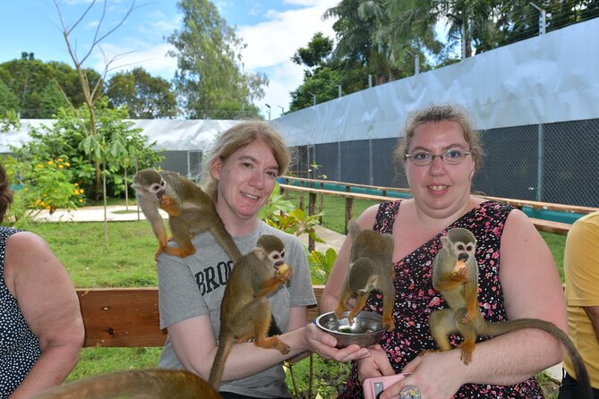 Monkey Tour Interaction and Damajagua waterfalls in Puerto Plata. - Monkey Home in Imbert: fruit feeding and a close-up look at squirrel monkeys