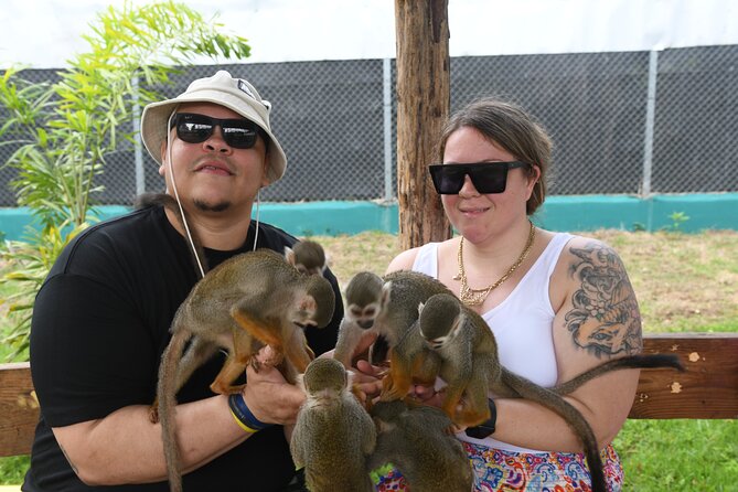 Monkey Tour Interaction and Damajagua waterfalls in Puerto Plata. - Safety gear and why it matters (especially on cruise days)