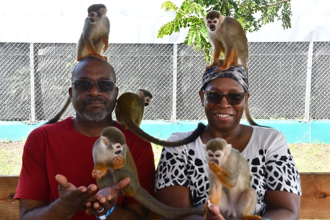 Monkey Tour Interaction and Damajagua waterfalls in Puerto Plata. - Price and value: is $89 a fair deal?