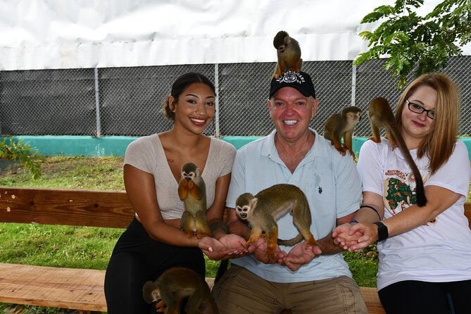 Monkey Tour Interaction and Damajagua waterfalls in Puerto Plata. - The real drawback: weather and changing waterfall routes