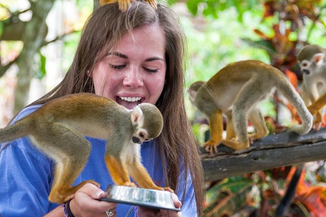 Monkeyland and Plantation Safari from La Romana - Getting There: Pickup, Safari Truck, and Realistic Timing
