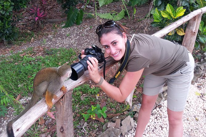 Monkeyland and Plantation Safari from La Romana - Coffee, Cocoa, and Fruit Tastings: The Cultural Stop That Adds Flavor