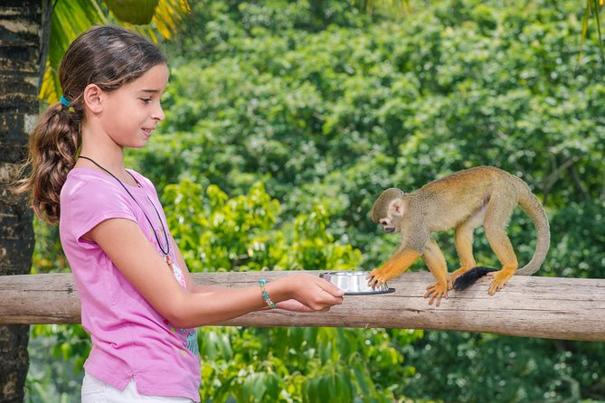 Monkeyland and Plantation Safari from La Romana - The Plantation Safari Angle: Chocolate and Coffee Growing (What It Feels Like)