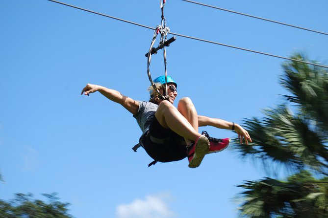 Monkeyland and Zipline Adventure from Puerto Plata - Key highlights at a glance