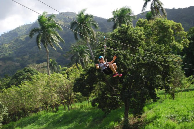 Monkeyland and Zipline Adventure from Puerto Plata - What you’ll learn on the ground: plants, animals, and local nature context