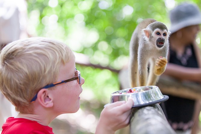 Monkeyland and Zipline Adventure from Puerto Plata - Safety briefing and training: how the clipping-in part stays controlled