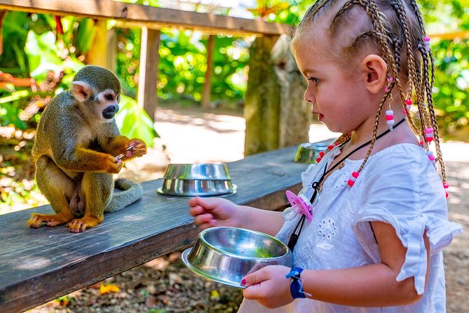 Monkeyland & Plantation Safari Full Day from Juan Dolio - Key points worth knowing
