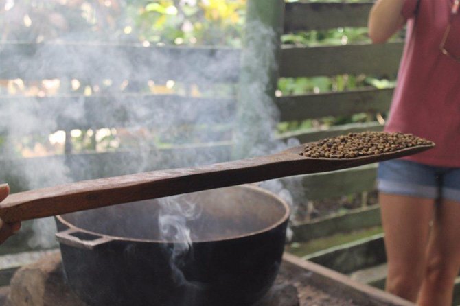 Monkeyland & Plantation Safari Full Day from Juan Dolio - Botanical garden time: native plants you can actually look at