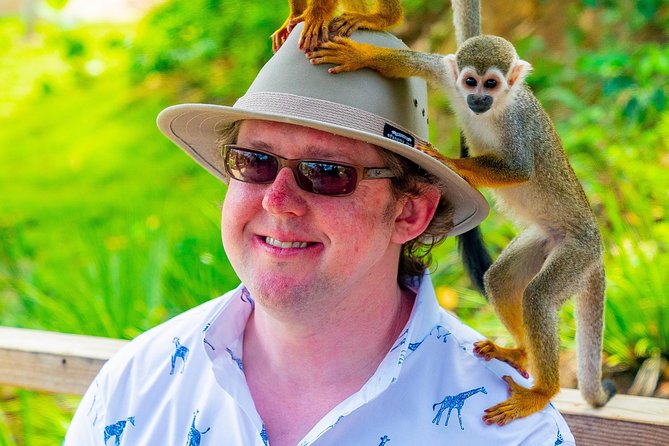 Monkeyland Puerto Plata - Monkeyland: Fruit Feeding, Monkey Behavior, and What to Wear