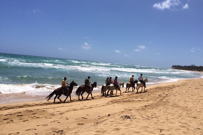 Montaña Redonda & Horseback Riding 2-in-1 Tour from Punta Cana - Admission Details That Affect Your Cost