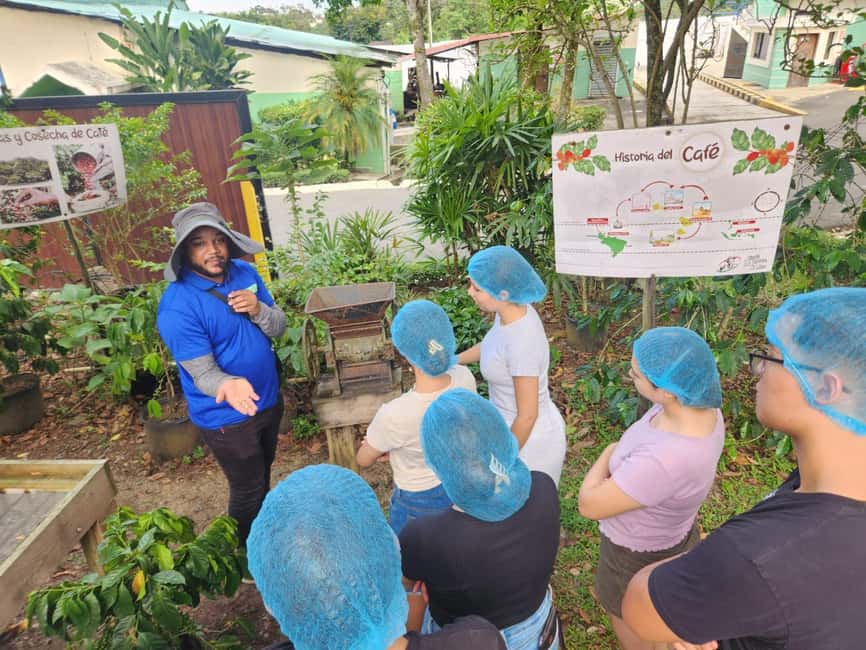 Monte Alto Factory Coffee Tour: Jarabacoa Experience - Key takeaways before you go