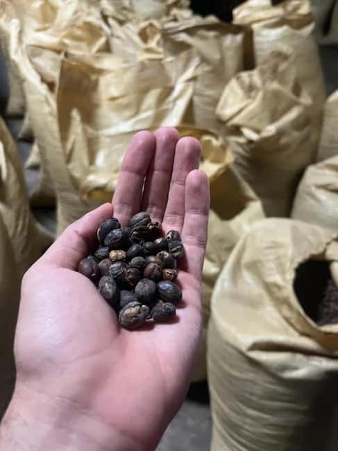 Monte Alto Factory Coffee Tour: Jarabacoa Experience - Jarabacoa coffee country: what makes this stop worth your time