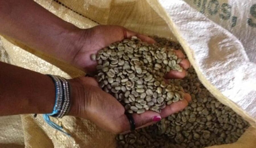 Monte Alto Factory Coffee Tour: Jarabacoa Experience - Should you book the Monte Alto Factory Coffee Tour?