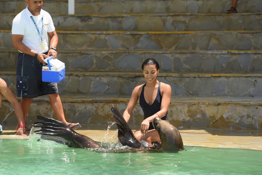 Ocean World Dolphin Swim & Sea Lion Combo from Puerto Plata - Key things you should know first