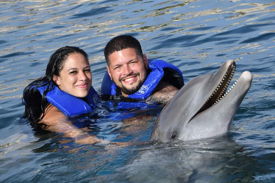 Ocean World Dolphin Swim & Sea Lion Combo from Puerto Plata - Ocean World at Cofresi Beach: what the full day really feels like