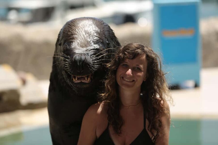 Ocean World Dolphin Swim & Sea Lion Combo from Puerto Plata - The dolphin swim program: lecture, hand signals, face-to-snout time