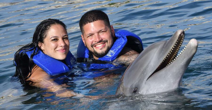 Ocean World Dolphin Swim & Sea Lion Combo from Puerto Plata - Should you book the Ocean World Dolphin Swim & Sea Lion Combo from Puerto Plata?