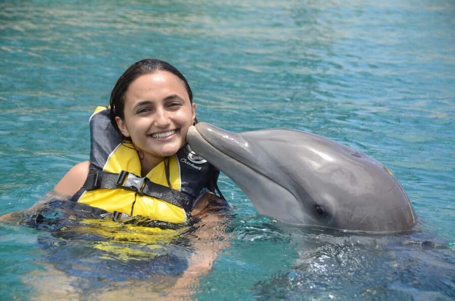 Ocean World Dolphin Swim & Sea Lion Combo from Puerto Plata - Pickup and logistics from Puerto Plata: keep it stress-free