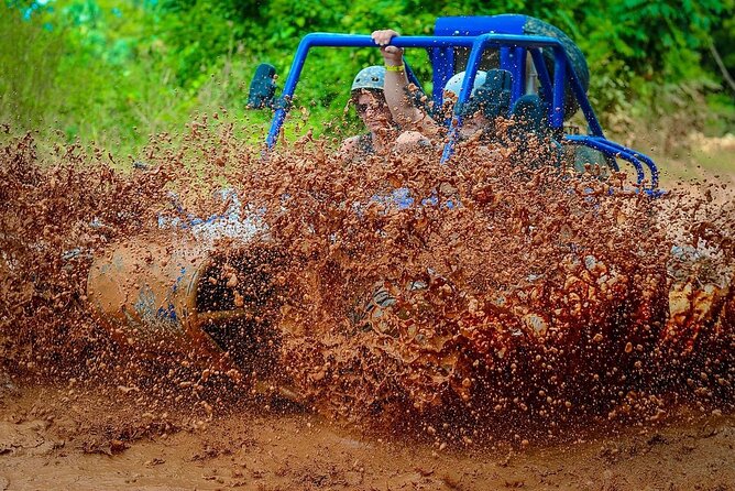 Off Road Buggy Adventure - Farm tastings: coffee, chocolate, rum (and sometimes more)