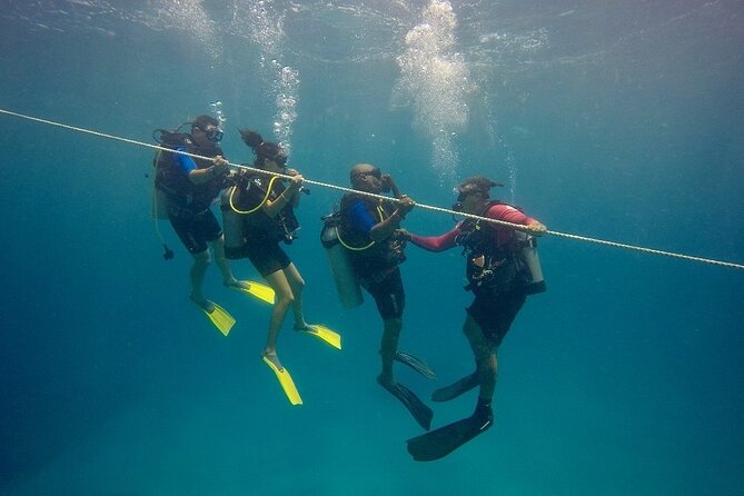 Open Water Diver - Bávaro - Quick highlights (what makes this course worth a look)